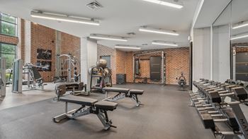 free weights and benches